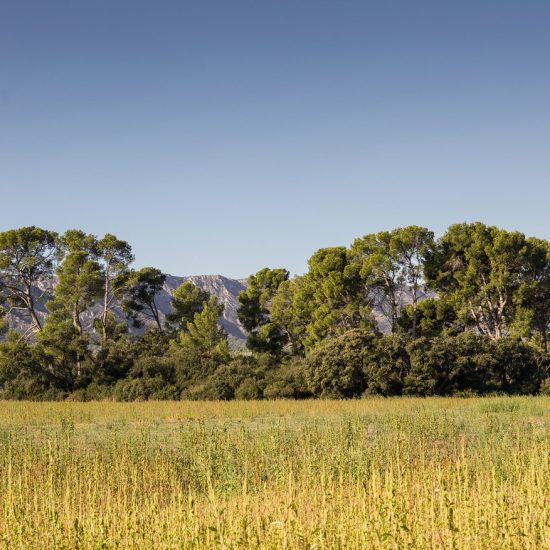 ALPILLES